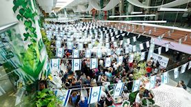יריד ריאליטי לאמנים, צילום: דרור סיתהכול